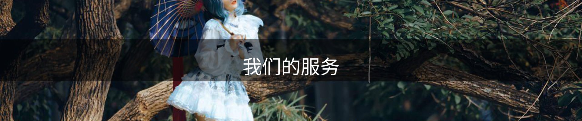 我们的服务